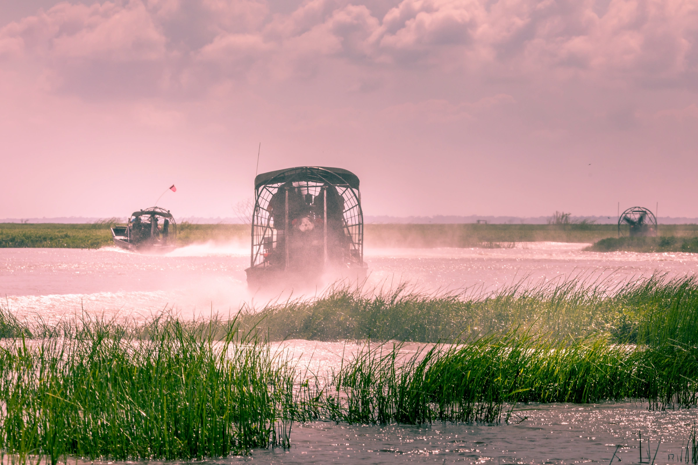 45_Everglades_National_Park,_Florida[1].webp